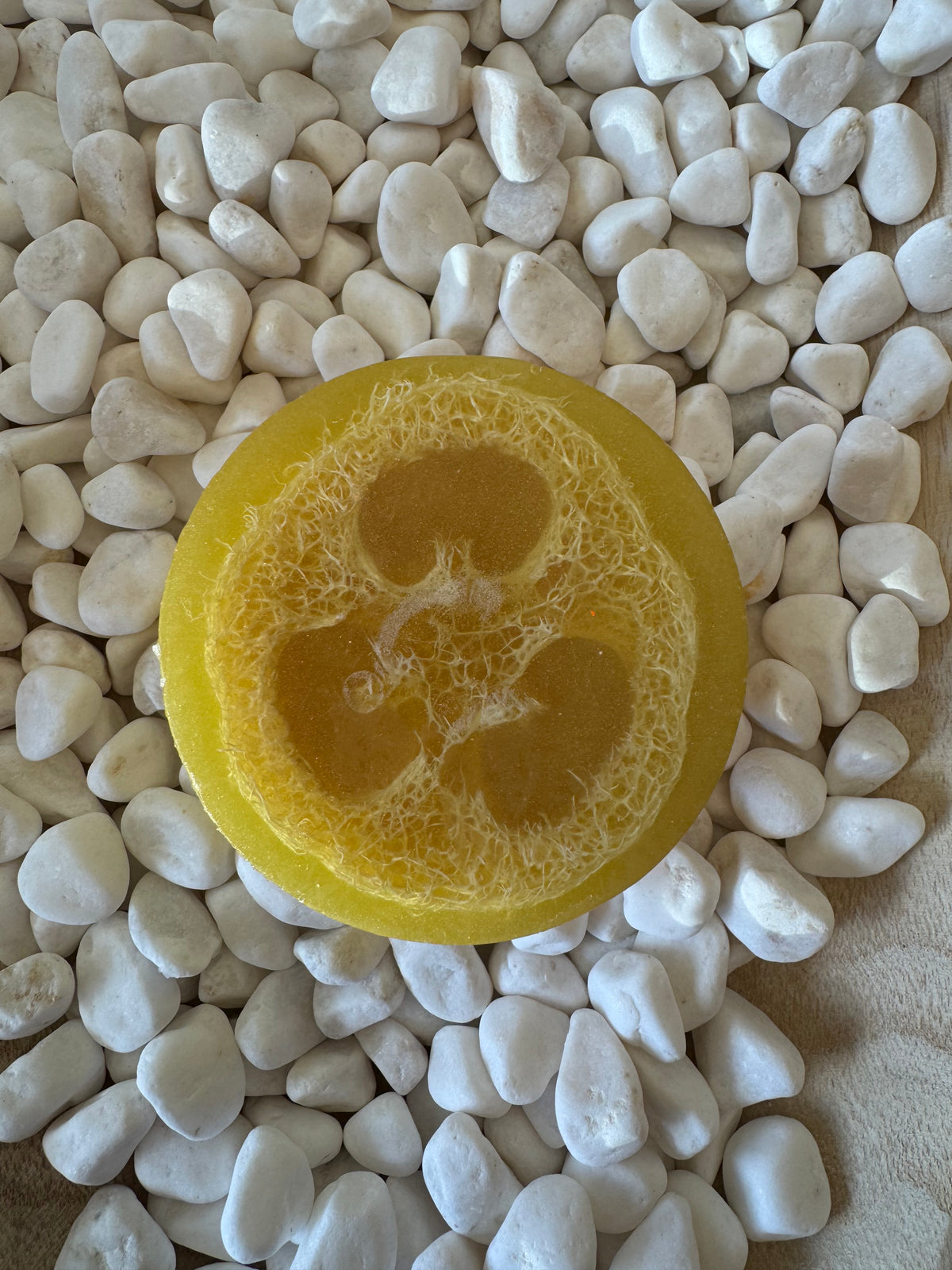 Hello Sunshine Loofah Soap