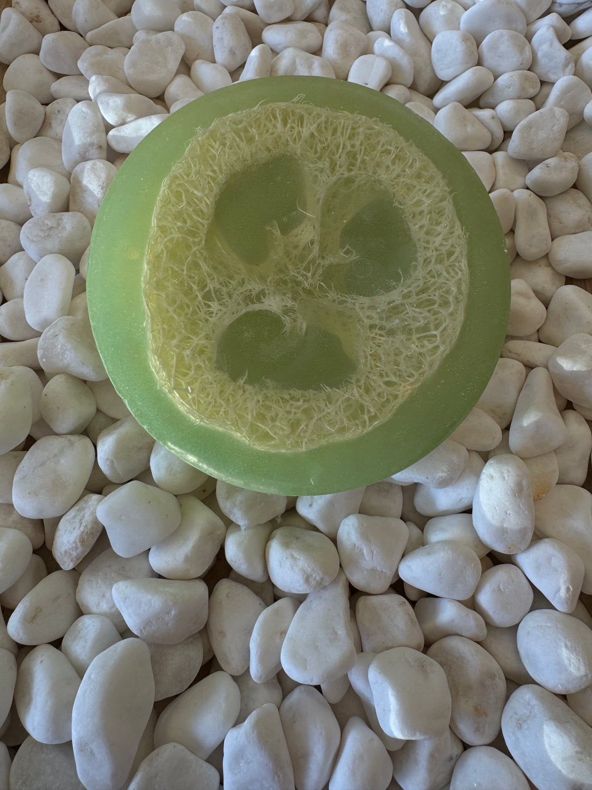 Tropics Loofah Soap