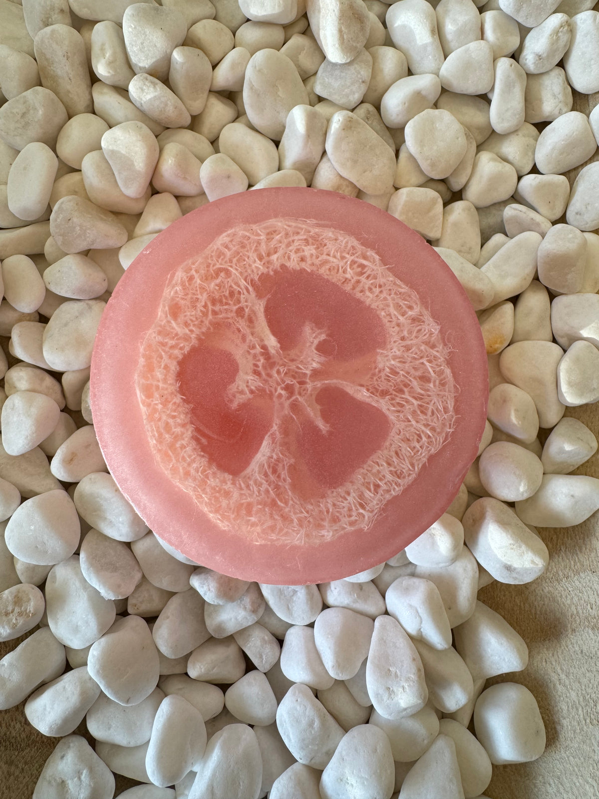 White Tea and Ginger Loofah Soap