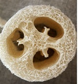 Loofah