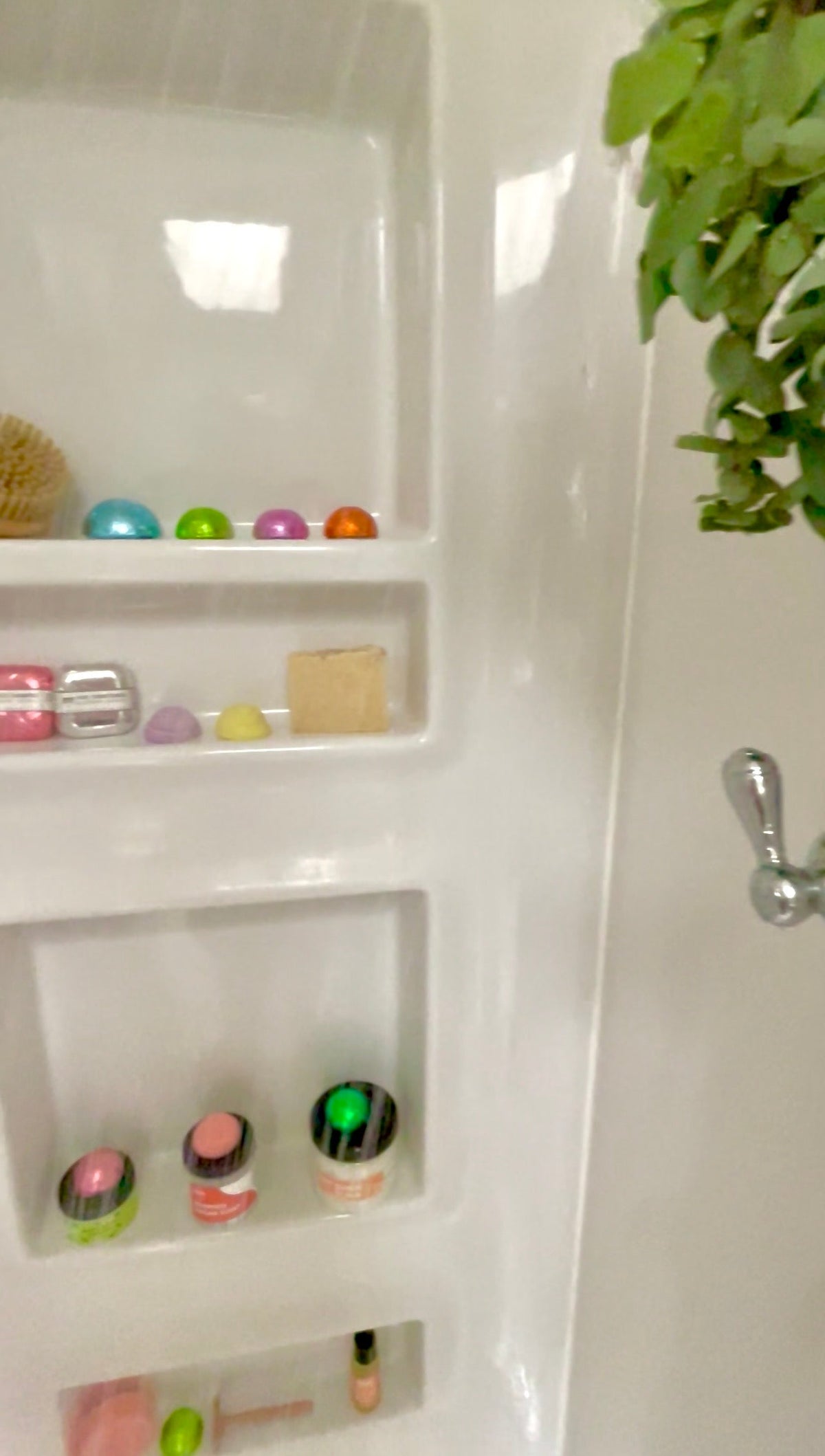 Where Clarity Meets Steam: The Science of the Everything Shower