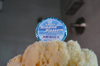 Almond Blossom SHOWER Bomb