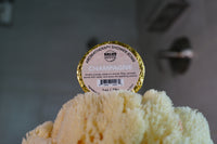 Sparkling Champagne SHOWER Bomb