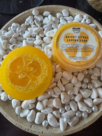 Bright Citrus Loofah Soap
