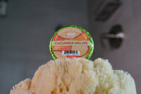 Cucumber Melon SHOWER Bomb