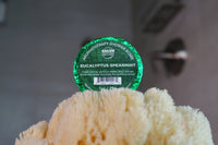 Eucalyptus Spearmint SHOWER Bomb