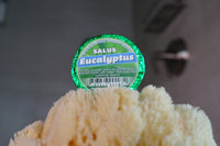 Eucalyptus Essential Oil SHOWER Bomb