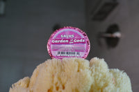 Garden of the Gods™ SHOWER Bomb