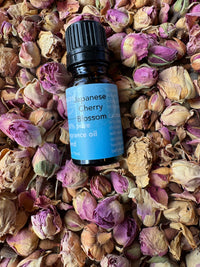 Japanese Cherry Blossom Fragrance Oil