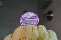 Jasmine SHOWER Bomb