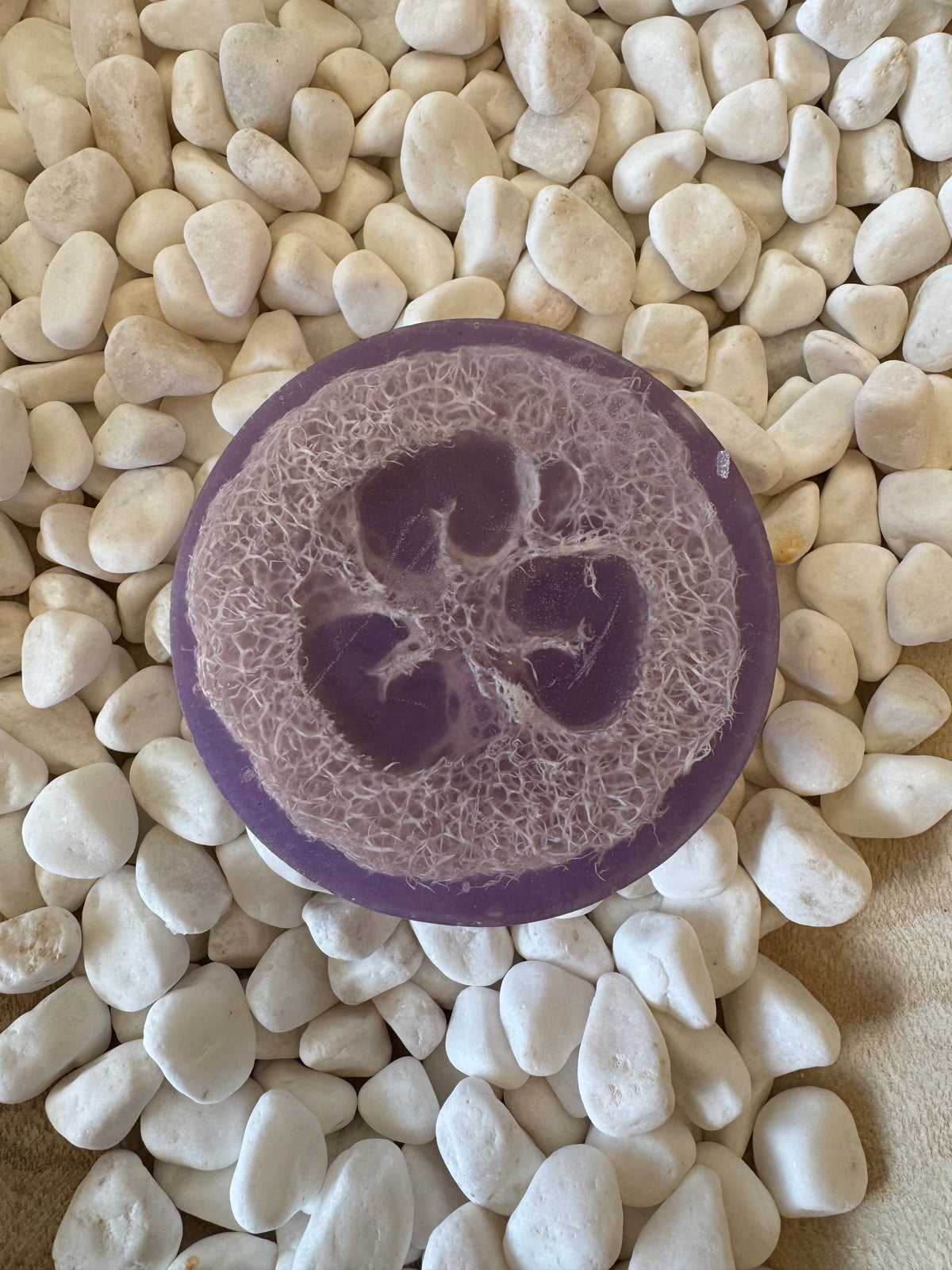 Lavender Lemonade Loofah Soap