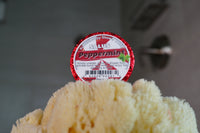 Peppermint Essential Oil SHOWER Bomb
