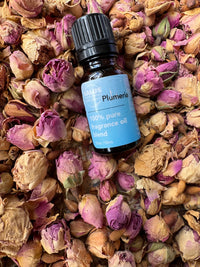 Plumeria Fragrance Oil