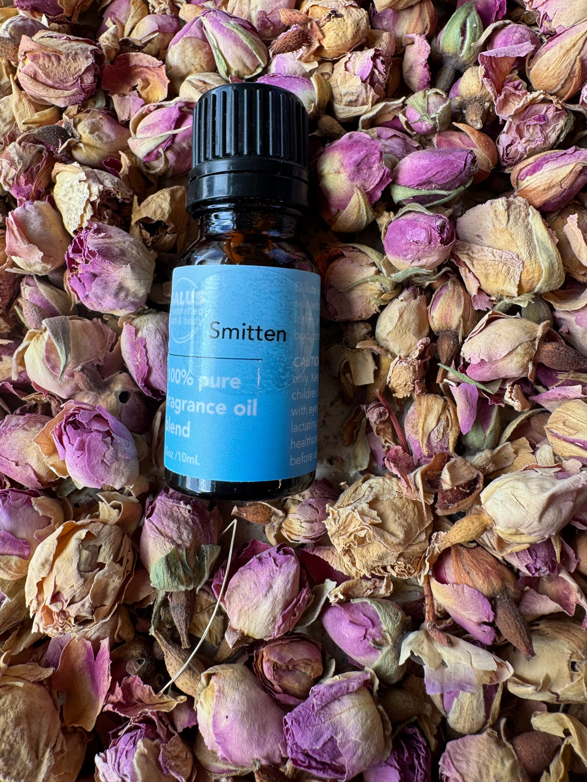 Smitten Fragrance Oil