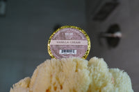 Vanilla Cream SHOWER Bomb