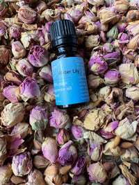 Water Lily Fragrance Oil
